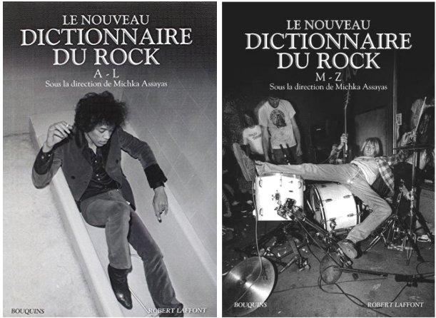 Le Nouveau Dictionnaire du Rock (tome 1 & tome 2) 