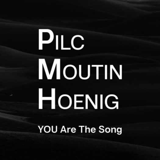 Pilc Moutin Hoenig YOU Are The Song 