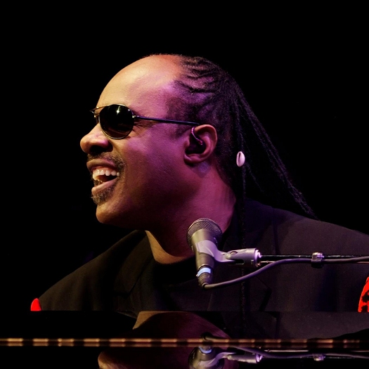 Stevie Wonder