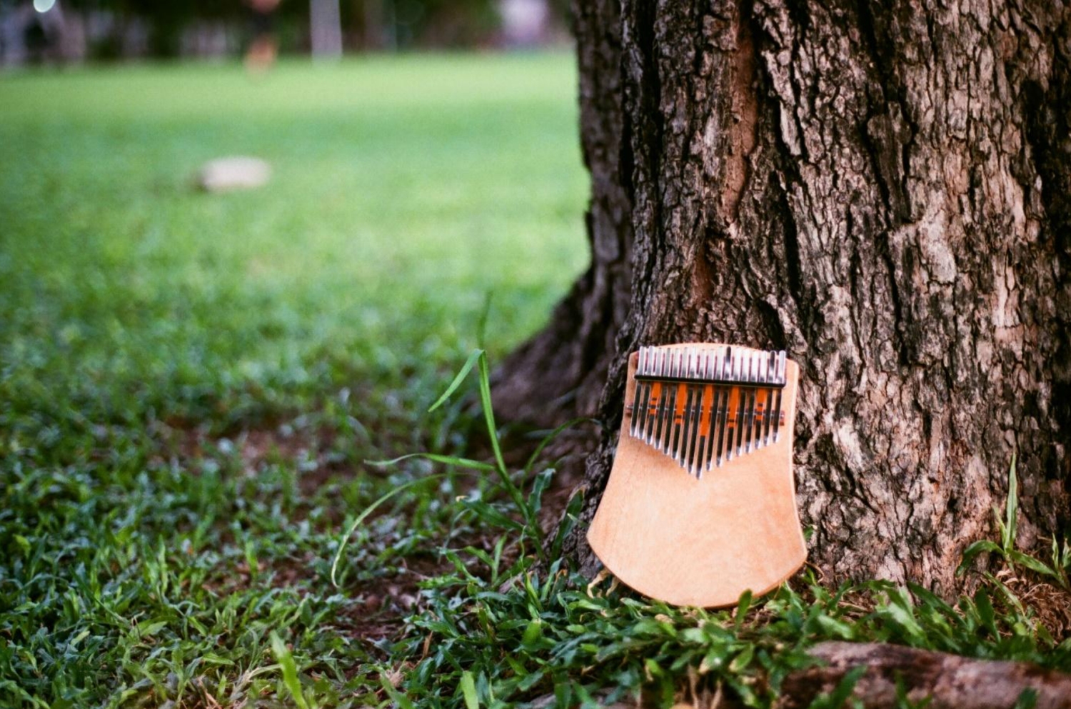 kalimba