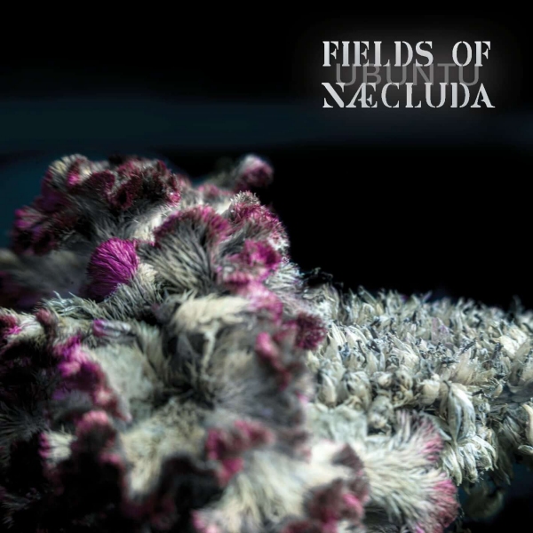 Fields of Næcluda