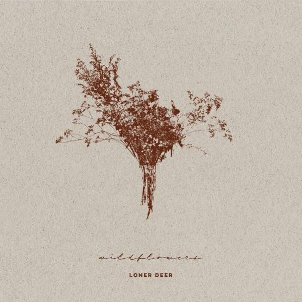 Loner Deer - Wildflowers