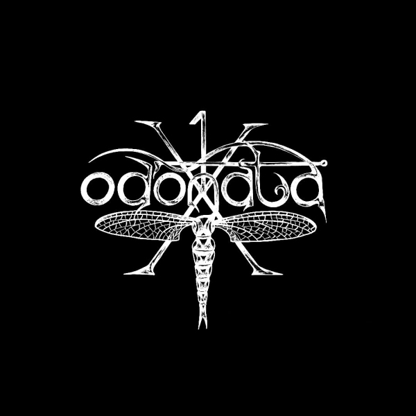 Odonata