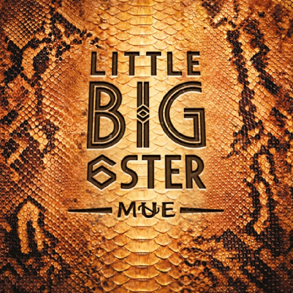 Littlebig6ster