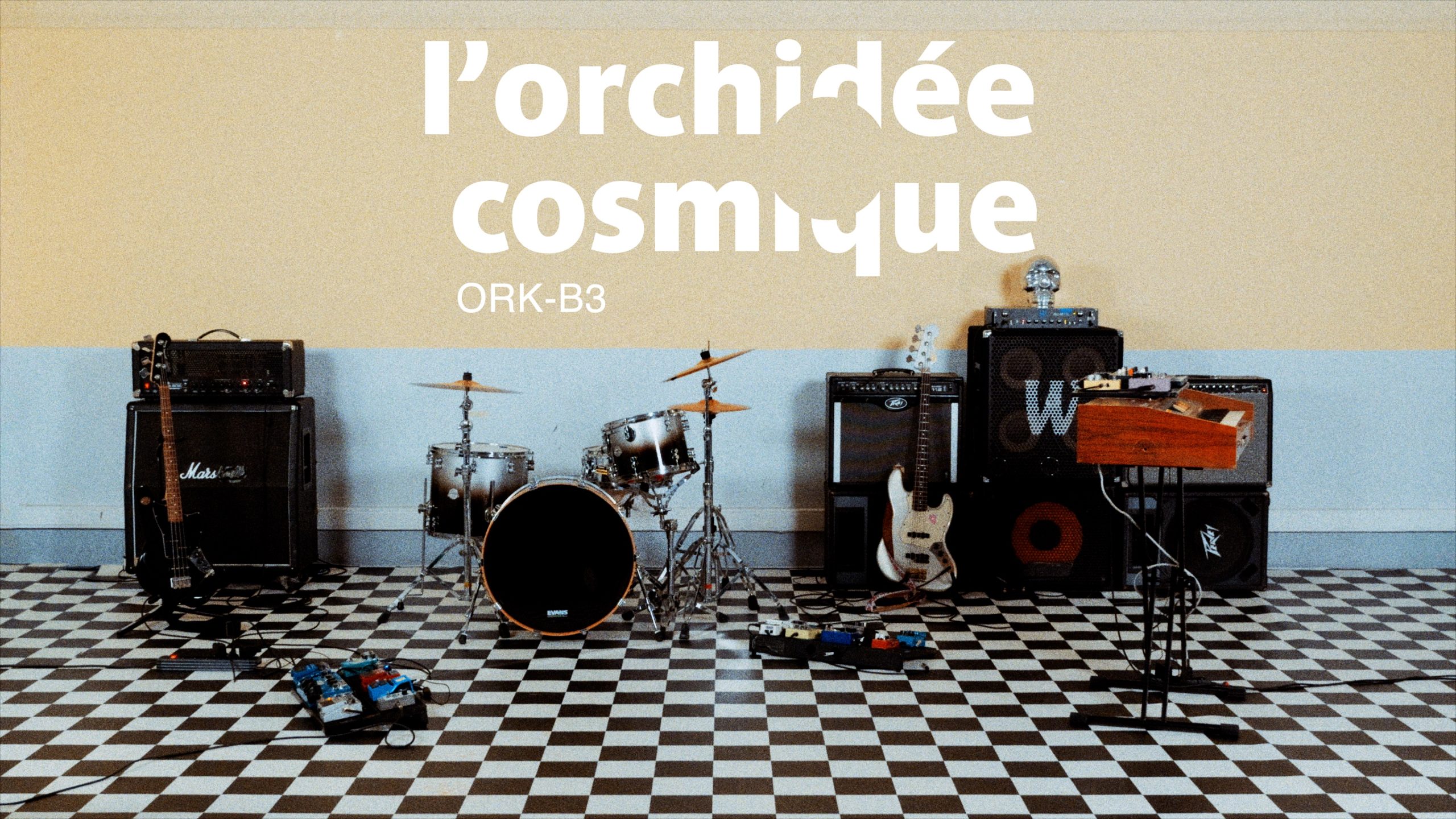 L'Orchidée Cosmique : ORK-B3, collision sonore en orbite